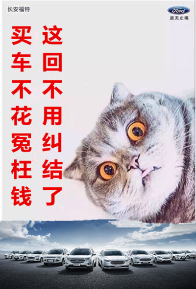 情聚重阳感恩季 信达福特狂享惠