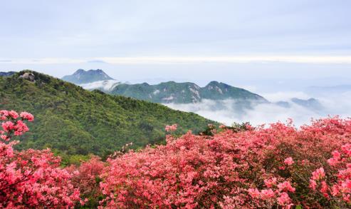 最美人间四月天北汽长江与你同行
