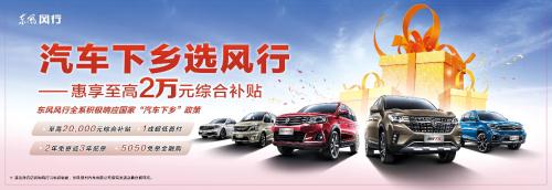 更实用大七座SUV，风行SX6汽车下乡有礼