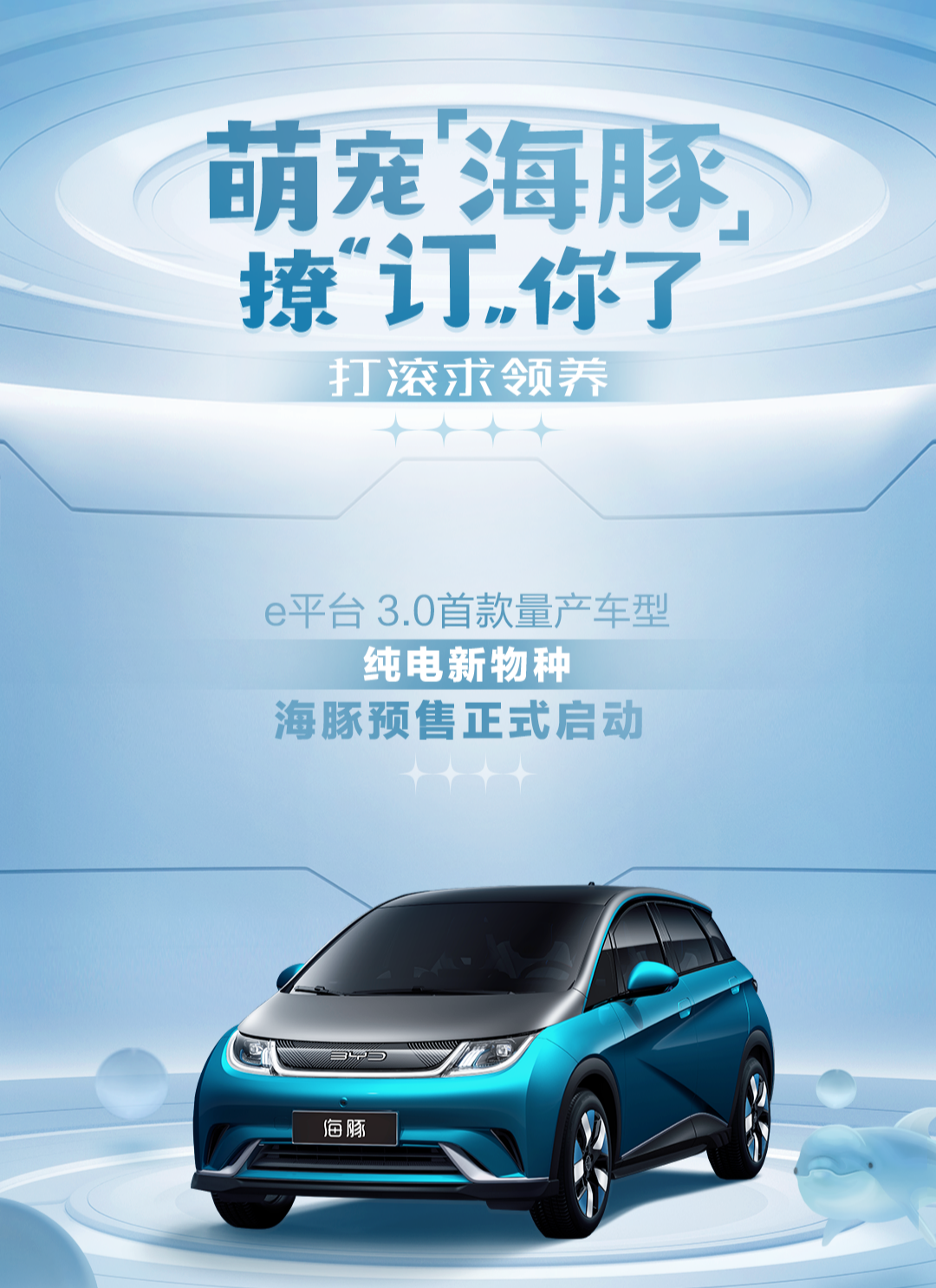 为海洋车系打样  比亚迪海豚预售9.68万元-12.48万元