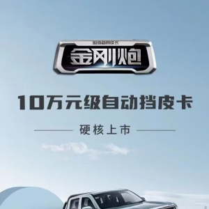 金刚炮自动挡创富车河北硬核上市 售价 9.78万起
