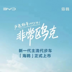 比亚迪海洋网三车齐发！海鸥亮相石家国际庄车展